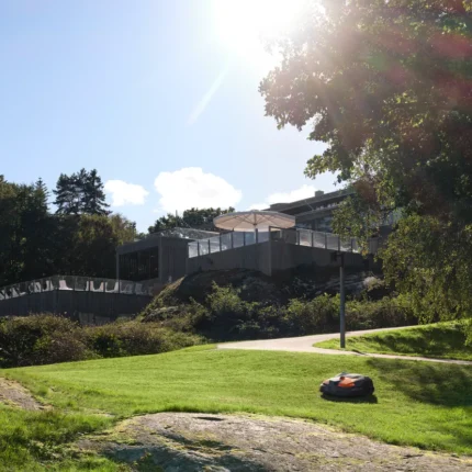 Mähroboter auf einer Wiese in einem sonnigen Garten.